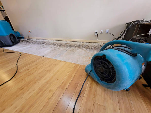 Professional Flood Damage Cleanup technician working in Bronxville, NY